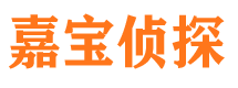 仁和市私家侦探